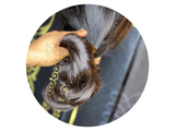 Raw/virgin South EAST Asian natural human hair
